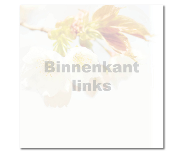 Binnenkant links